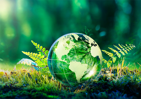 Carbon Reduction Plan